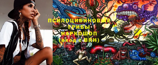 винт Алзамай